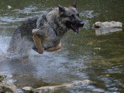 01.07.2023 offenes training 33